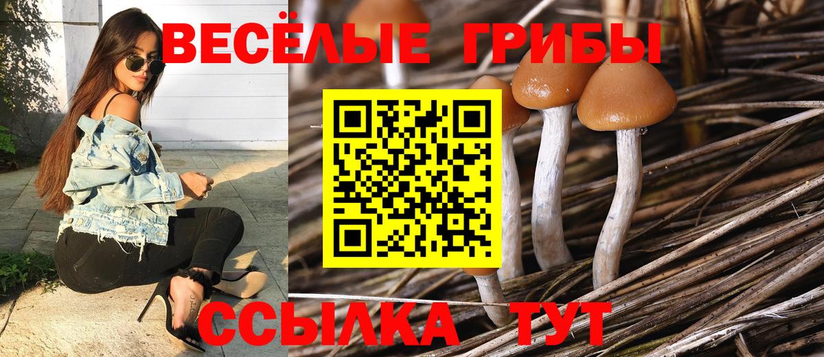 Томск  купить  цена  Псилоцибиновые грибы мухоморы  Вход с VPN  Галлюциногенные грибы Psilocybine cubensis 